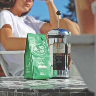 harris coffee plunger thumbnail